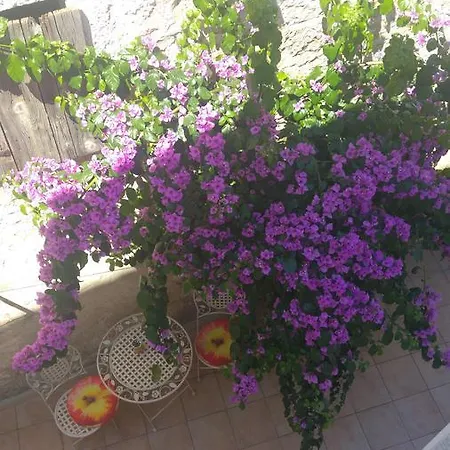 Appartement Old Town Center